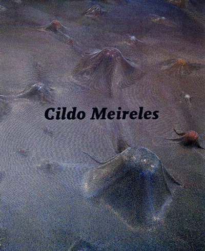 cildo-meireles-guy-brett-2008-catalogue-tate-lacma-mfah-librairie-des-archives-paris