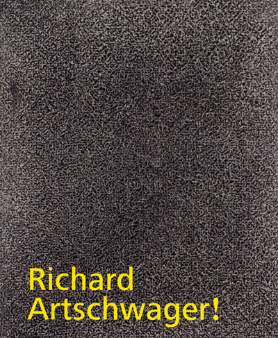 richard-artschwager-jennifer-gross-whitney-hammer-2013-catalogue-librairie-des-archives-paris