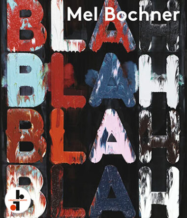 Mel Bochner : If the Colour Changes